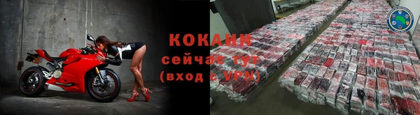 тгк Абаза