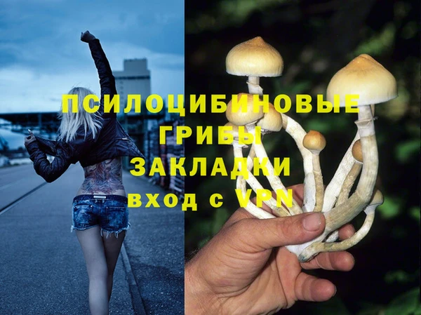 2c-b Абинск