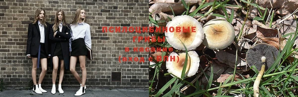 тгк Абаза